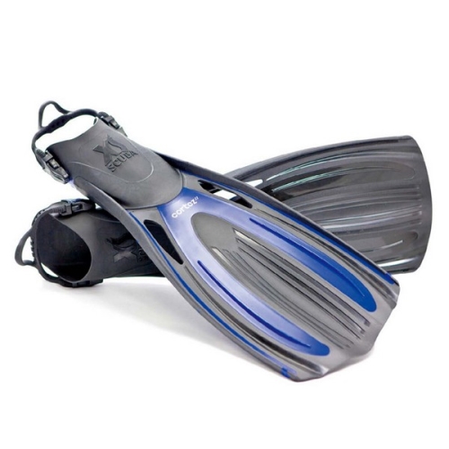 [13214] 코르테즈